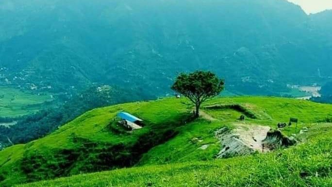 गजल - बाहुनथानको रुख तिमिलाई…