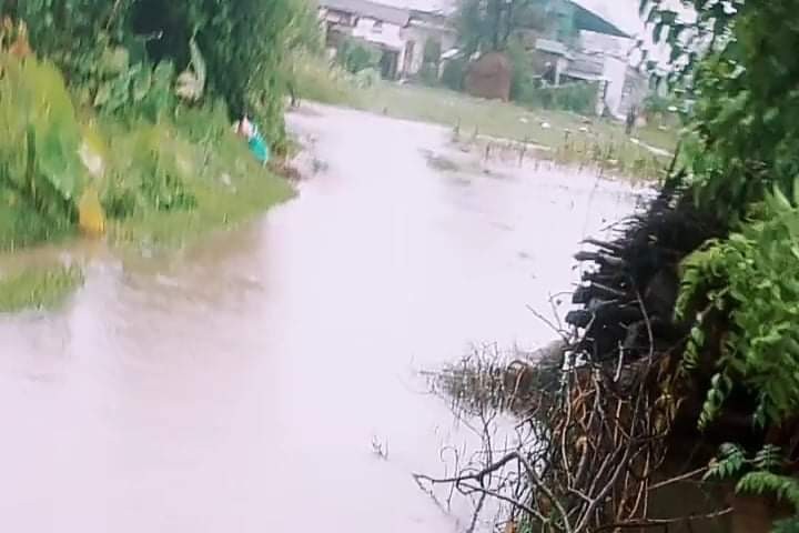 भोटका लागि केहि ट्र्याक्टर मिस्कट झारिएको देवदहको गुराँस टोल डुबानमा