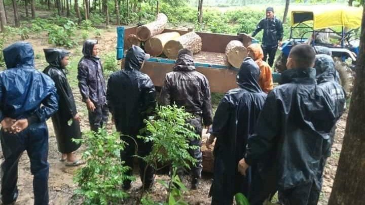 लकडाउनमा पनि रोकिएन काठ तस्करी