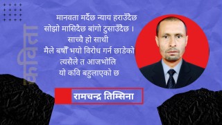 कविता : विकास देखेर बहुलाएको कवि 