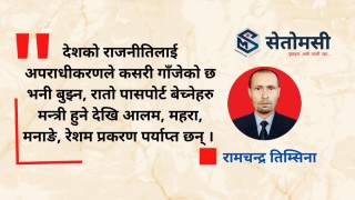 लोकतन्त्रको रुखमा ऐजेरु : राजनीतिमा अपराधिकरण र अपराधमा राजनितिकरण