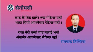 गजल : काठ कै बिंड हालेर रुख गेडिन्छ … 