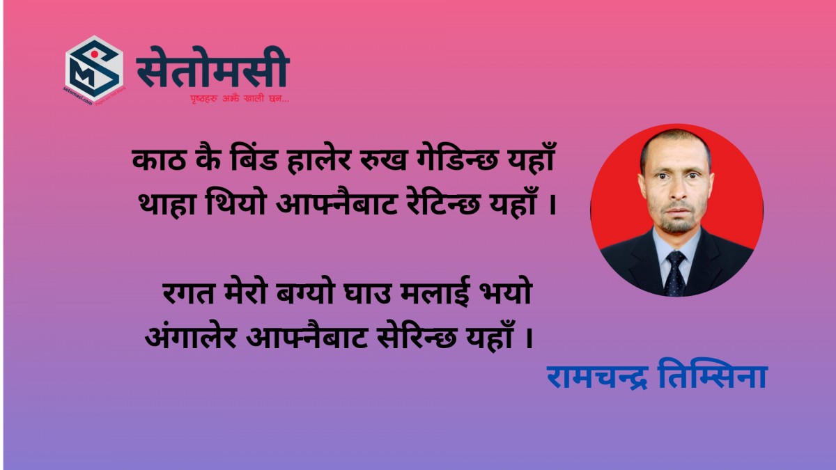 गजल : काठ कै बिंड हालेर रुख गेडिन्छ … 