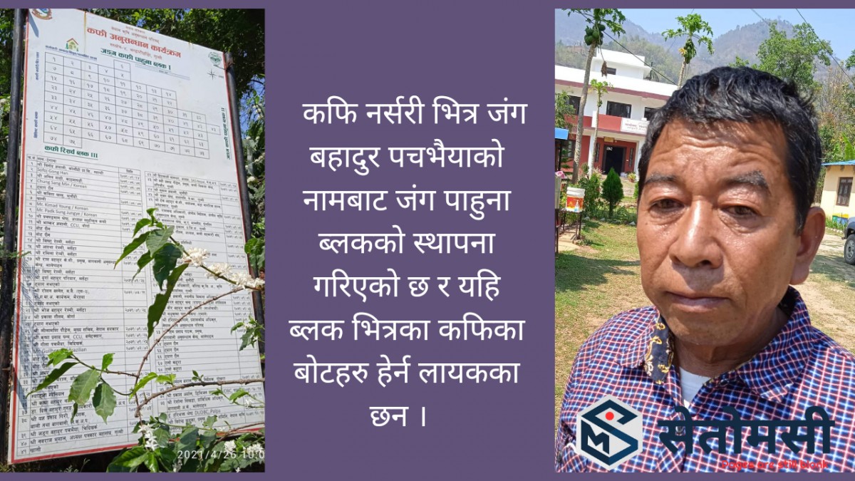 कफिका गुल्मेली छुपेरुस्तम अभियन्ता जंग बहादुर पचभैया 