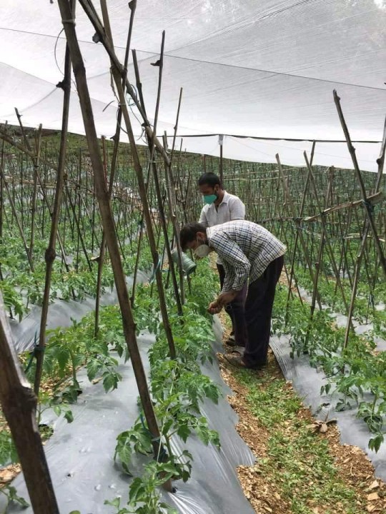 अर्ग्यानिक कृषि उत्पादनको प्रमाणीकरण गर्ने व्यवस्था मिलाउन प्रधानमन्त्री शाहको निर्देशन