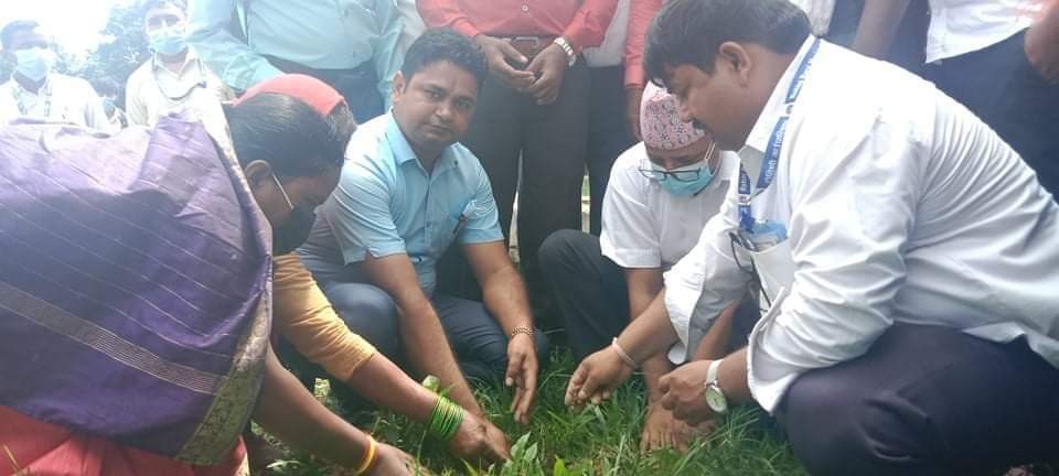 आज निजामती सेवा दिवस, औपचारिक कार्यक्रम नहुने