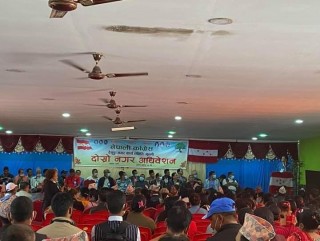 गुल्मीका सबै स्थानीय तहमा कांग्रेसको नेतृत्व चयन 