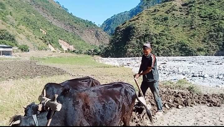 बेमौसमी बर्षा र बाढीले खेत बगर बनेपछि अम्मर कामिको प्रश्न - हामीले के खाने ?