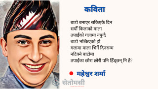 कविता : मलाई पागल भनिदिनुस्