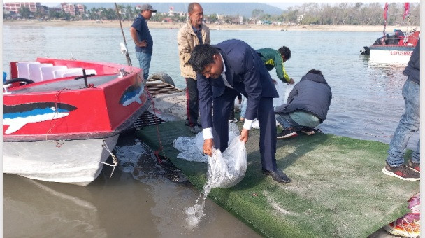 माछाका भुरा वितरणमा ७२ लाखभन्दा बढी हिनामिना, चार जनाविरुद्ध मुद्दा