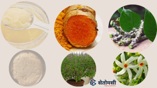 फेरियाे गाउँकाे पाहुर : घ्यु-कुराउनी होइन, बेसार र गुर्जो मगाउँछन् - शहरमा बस्नेहरू 
