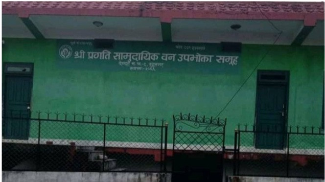 काठ विक्रीमा आर्थिक अनियमितता भएको छैन : अध्यक्ष गौडेल 