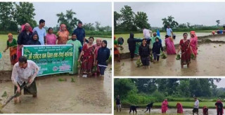 जनप्रतिनिधिले धान रोपेर देवदहमा १९औं राष्ट्रिय धान दिवस मनाईयो