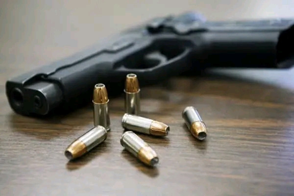 चलनचल्तीको मूल्यभन्दा चार गुणा बढीमा हतियार बुक