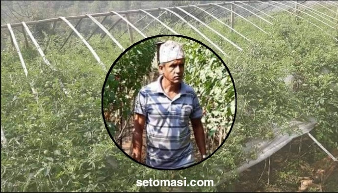 रिडिबजारका फर्सु नेपाल : जो थोरै जग्गामै कृषि गरेर काईदाले फाईदा लिन्छन्