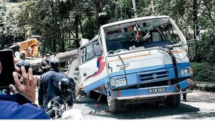 भक्तपुरको मेयरमा नेमकिपाका प्रजापति विजयी, अरू सबैको जमानत जफत