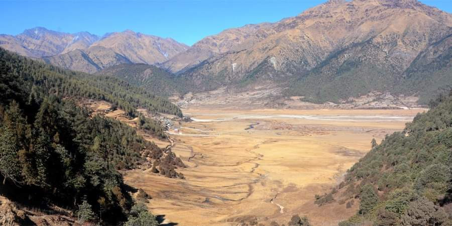 ढोरपाटन आरक्षमा बँदेलको सिकार गराइने