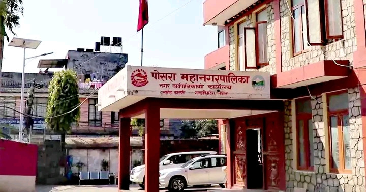 पोखरा सडक पेटिका रुख विरुवा बिना समन्वय निर्ममतापूर्वक काटछाट्
