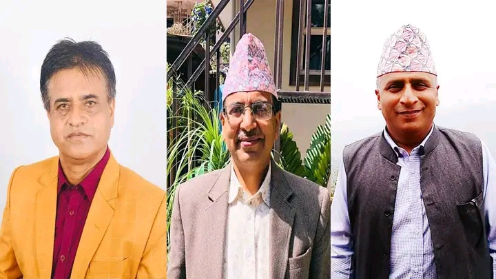 पोखरा सडक पेटिका रुख विरुवा बिना समन्वय निर्ममतापूर्वक काटछाट्