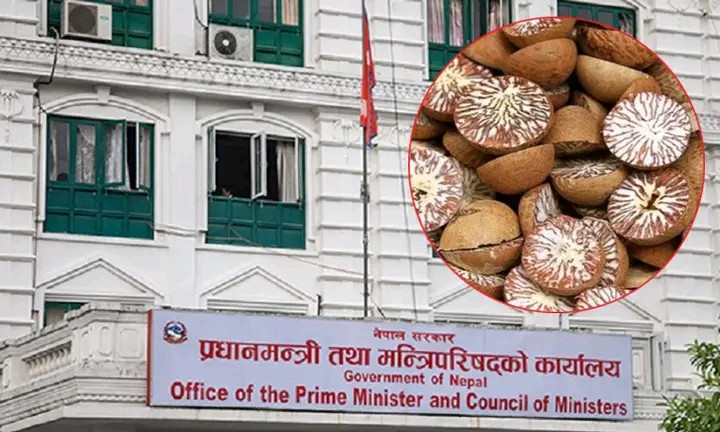 प्रधानमन्त्री कार्यालयको निर्देशनमा सिल नै नखोली छोडियो ८ ट्रक सुपारी