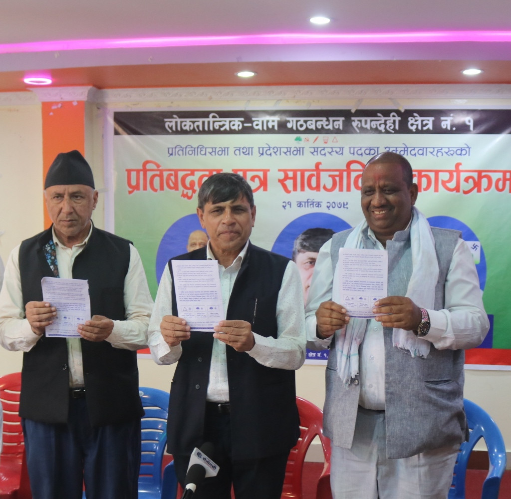 घनश्याम भुसालले सार्वजनिक गरे ११५ बुँदे प्रतिबद्धता पत्र, निर्वाचन जितिसकेको दावी (पूर्ण पाठ सहित)