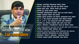 आफ्नो कार्यकालमा रुपन्देही-३ मा के काम गरे घनश्यामले ?