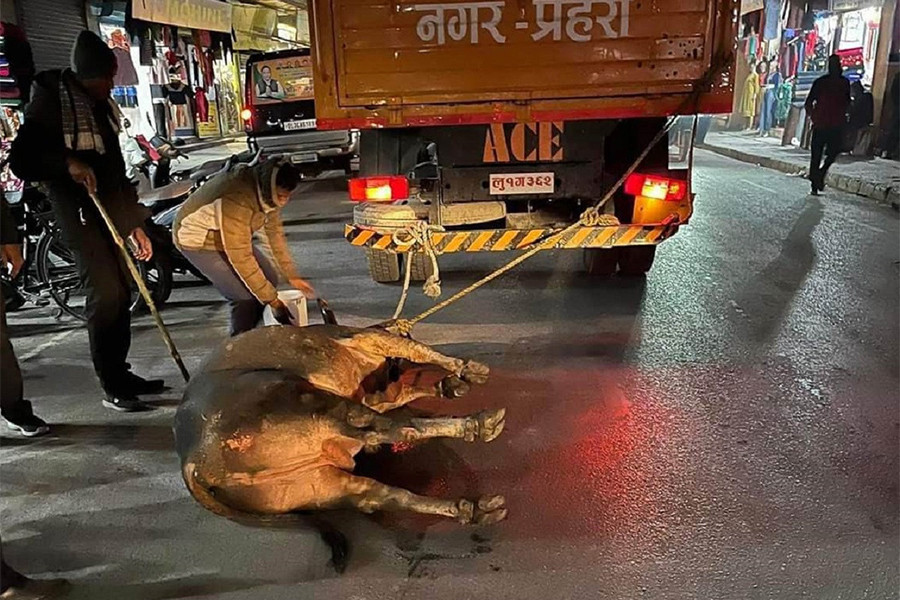 सम्मेलनको भव्य तयारीमा माओवादी केन्द्र सिद्धार्थनगर, एक सय बढि युवा परिचालित