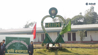 नेपालमा कृषि अध्ययनमा के–के छन् अवसर : कहाँ कुन तहमा के–के पढाई हुन्छ ?