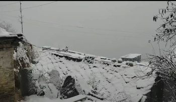 बझाङ लगाएत हिमाली जिल्लामा  हिउँ सगै वर्षा सुरु
