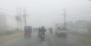 शीतलहरबाट जनजीवन कष्टकर, तरकारीबालीमा डढुवा रोगको जोखिम