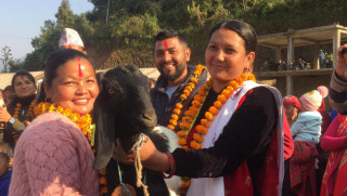 दिदी समूहद्वारा बहिनी समूहलाई बाख्रा उपहार 