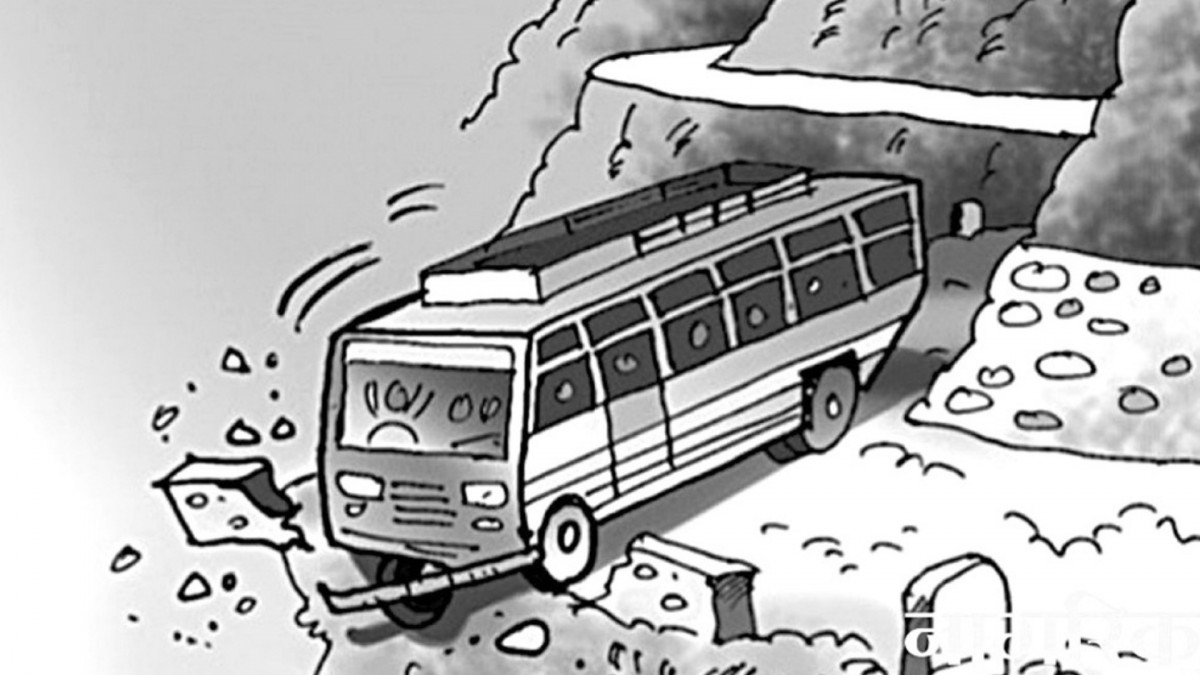 लगानी कम, आम्दानी मनग्ये : व्यवसायिक फूल खेतीमा रमाउँदै पाल्पाली किसान