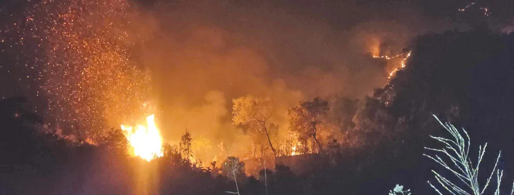 अमेरिकाको टेक्सासमा लागेको डढेलो २० प्रतिशत नियन्त्रण