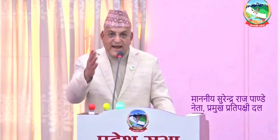 सुरेन्द्रराज पाण्डेको कांग्रेस उपसभापतिमा उम्मेदवारी घोषणा