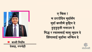 कविता : चिता 