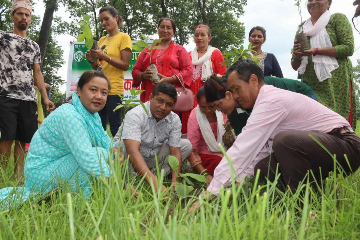 प्रगति सामुदायिक वनको अध्यक्षमा गठबन्धनका दुर्गा राना निर्वाचित