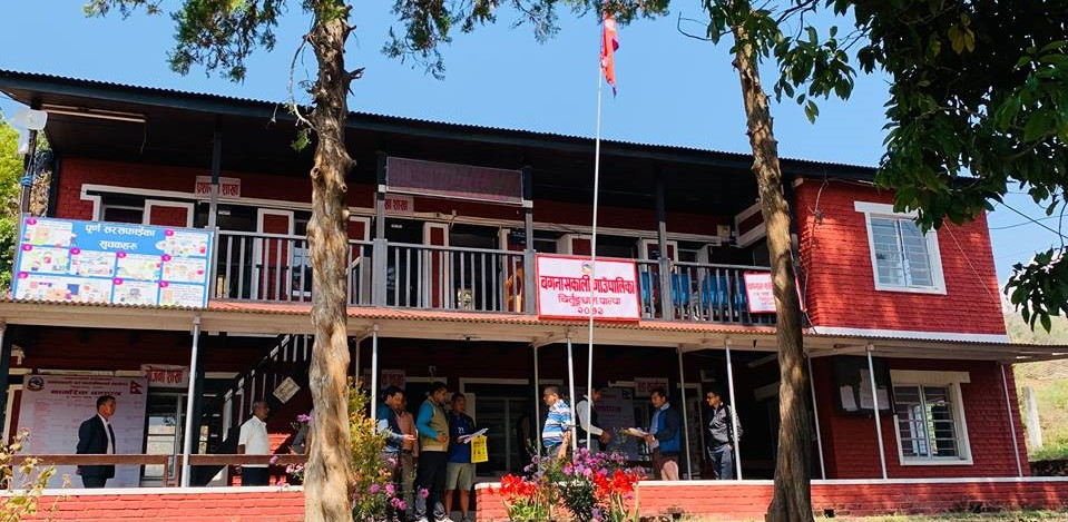 लगानी कम, आम्दानी मनग्ये : व्यवसायिक फूल खेतीमा रमाउँदै पाल्पाली किसान