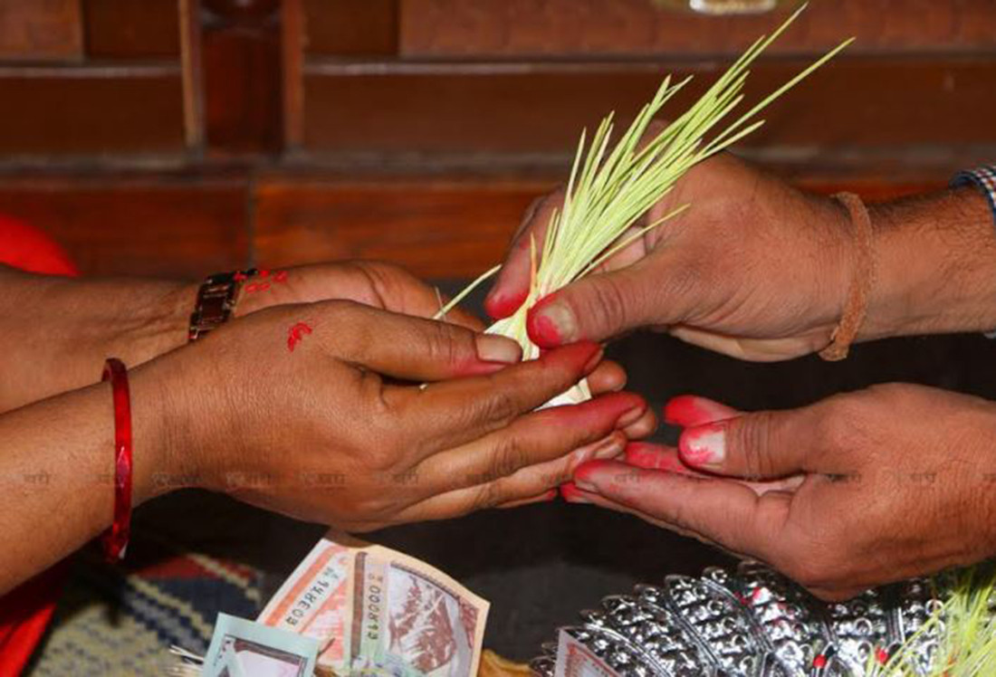 आज विजयादशमी : नवदुर्गाको प्रसादस्वरुप टीका र जमरा लगाइँदै