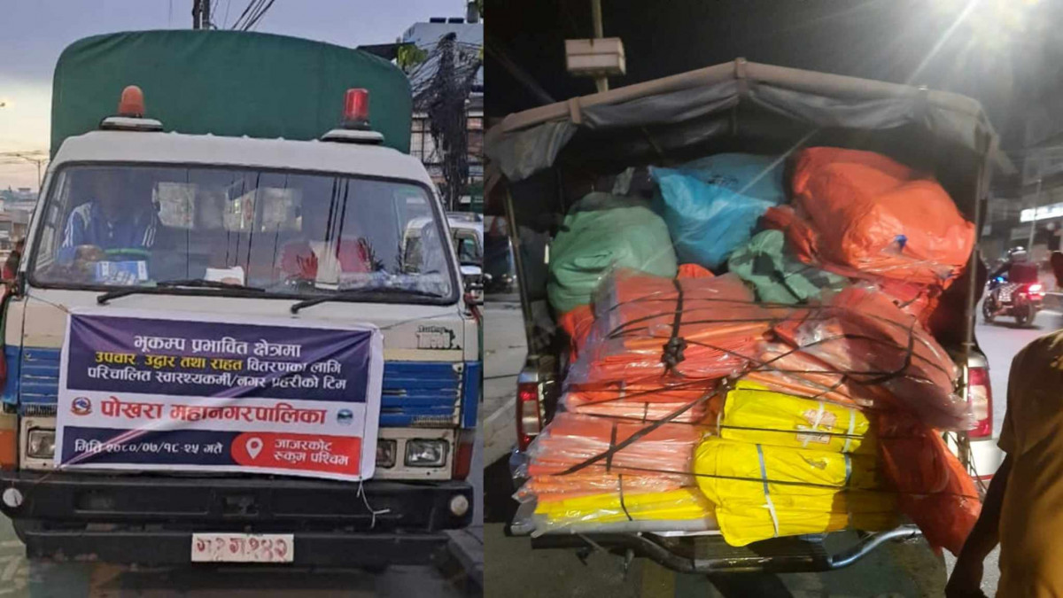 पोखरा सडक पेटिका रुख विरुवा बिना समन्वय निर्ममतापूर्वक काटछाट्