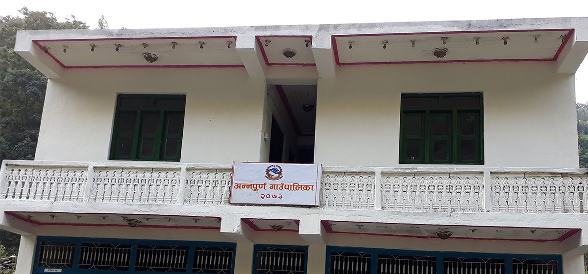 कोदो खेतीलाई महत्व दिँदै बेली गाउँका किसान