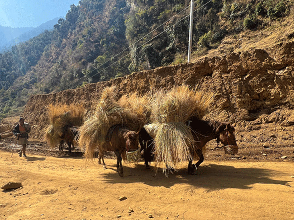 बागलुङमा बाढीले दुई घर पुरिए