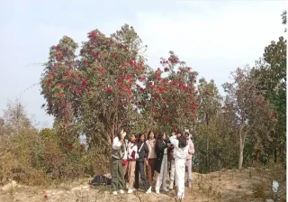 राइनासकोटमा लालिगुराँसले आकर्षित गर्दै पर्यटक