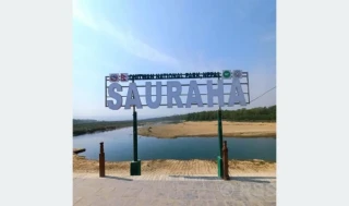 सौराहाको रोजगारी र आयको मुख्य स्रोत पर्यापर्यटन