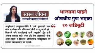 भान्सामा पाइने औषधीय गुण भएका १० जडिबुटी