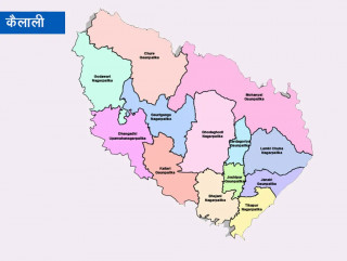 कैलालीमा हिउँदेबाली उत्पादन वृद्धि