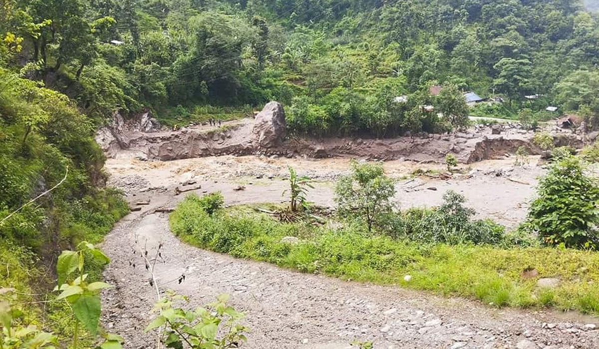 ताप्लेजुङका निमित्त स्वास्थ्य प्रमुखविरुद्ध नक्कली शैक्षिक प्रमाणपत्रको मुद्दा दायर