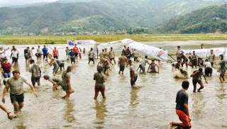 पोखरामा रोपाई महोत्सवमा रमाए पर्यटक