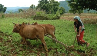 लमजुङमा आज हलोक्रान्ति दिवस मनाइँदै