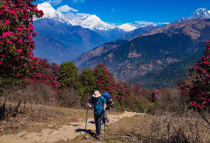 गण्डकी प्रदेश आउने विदेशी पर्यटकको औसत बसाई १२ दिन