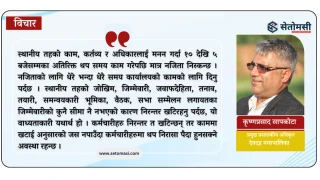 कार्यसम्पादनमा आधारित प्रोत्साहन सुविधा र नतिजामा आधारित स्थानीय सरकार